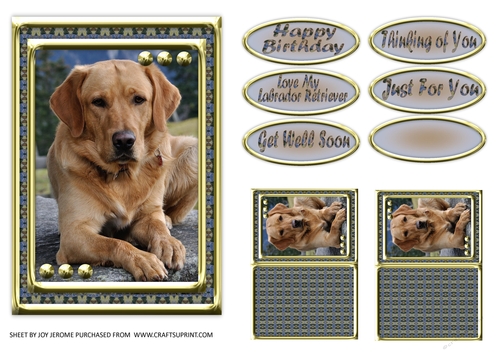 JJ LOVE MY DOG LABRADOR RETRIEVER 5X7 YELLOW