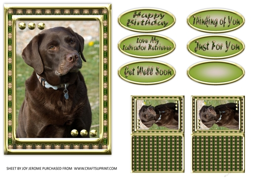 JJ LOVE MY DOG LABRADOR RETRIEVER 5X7 CHOCOLATE