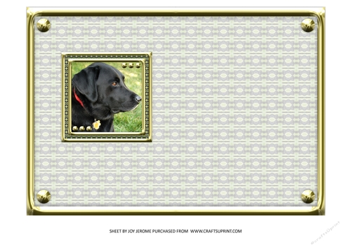 JJ LOVE MY DOG LABRADOR RETRIEVER 5X7 BLACK INSERT BLANK