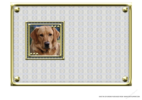  JJ LOVE MY DOG LABRADOR RETRIEVER 5X7 YELLOW INSERT BLANK