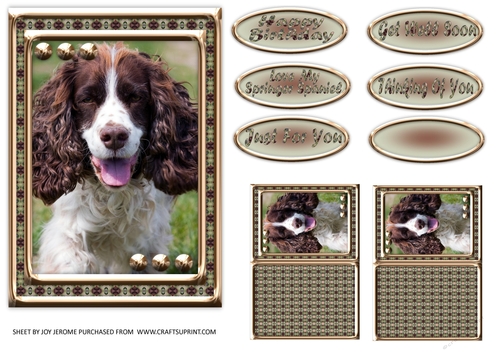 JJ LOVE MY DOG SPRINGER SPANIEL 5X7