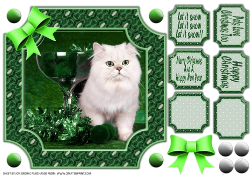 JJ PETS LOVE CHRISTMAS TOO SNOW WHITE CAT GREEN 8x8