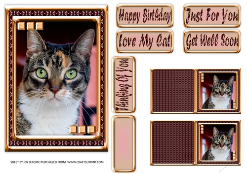  JJ LOVE MY CAT 16 5X7