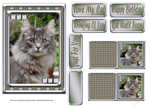 JJ LOVE MY CAT 17 5X7