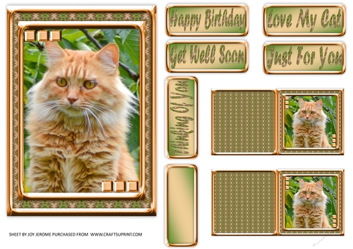 JJ LOVE MY CAT 19 5X7