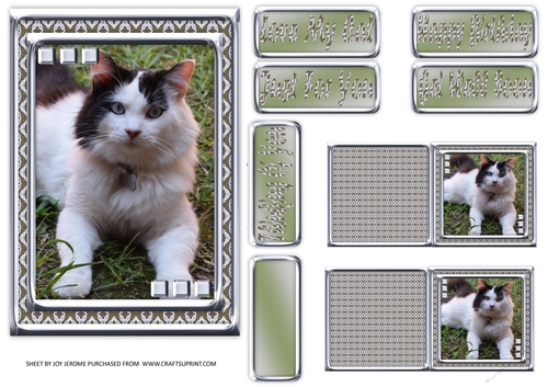 JJ LOVE MY CAT 20 5X7