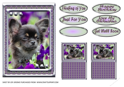 JJ LOVE MY DOG CHIHUAHUA 5X7