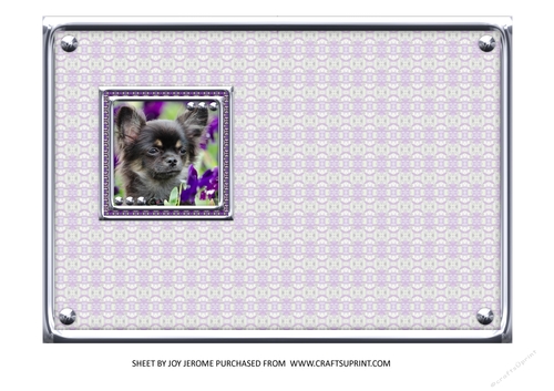 JJ LOVE MY DOG CHIHUAHUA 5X7 INSERT