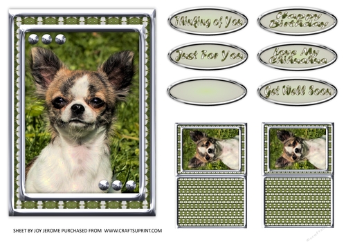  JJ LOVE MY DOG CHIHUAHUA 2 5X7