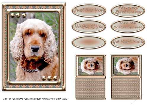 JJ LOVE MY DOG COCKER SPANIEL 1 5X7