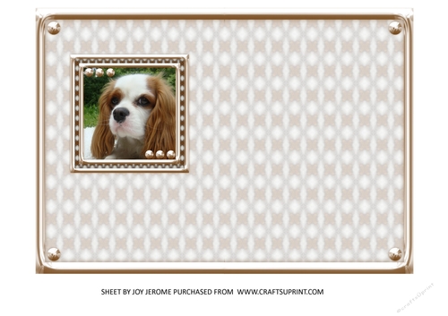 JJ LOVE MY DOG COCKER SPANIEL 2 5X7 INSERT