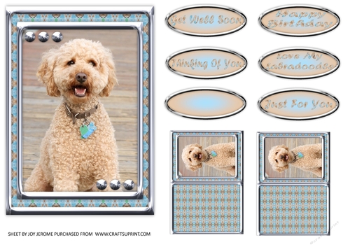 JJ LOVE MY DOG LABRADOODLE 1 5X7