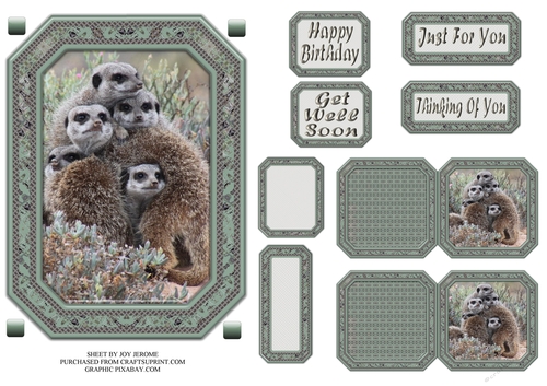  JJ GROUP HUG MEERKATS 5X7