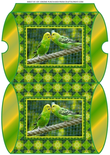 JJ FRIENDS FOREVER BUDGERIGARS PILLOW BOX