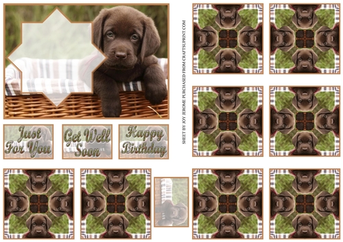 JJ LABRADOR PUPPY A6 TEA BAG CARD