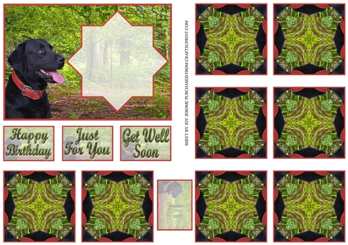 JJ LABRADOR 2 A6 TEA BAG CARD