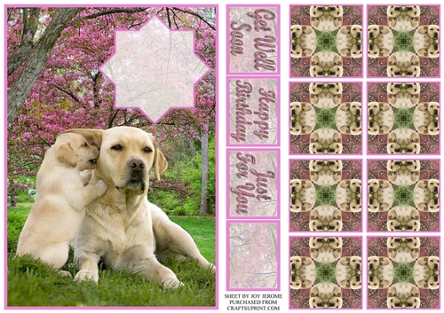 JJ LABRADOR A5 TEA BAG CARD