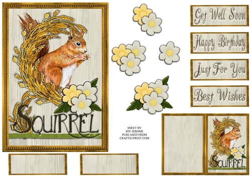  JJ COUNTRY CAPERS SQUIRREL 5X7