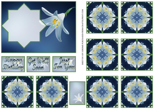JJ MADONNA LILY TEA BAG A6 CARD
