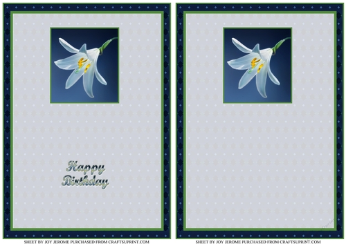 JJ MADONNA LILY TEA BAG A6 CARD INSERTS