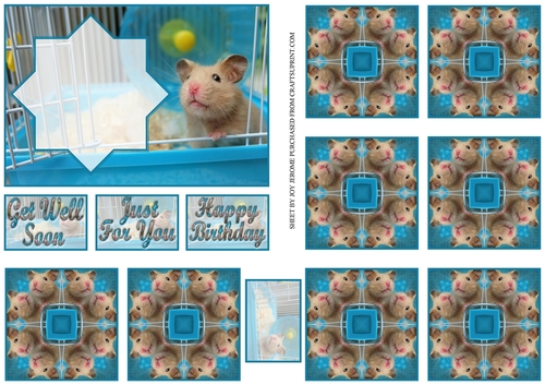JJ HAMSTER A6 TEA BAG CARD