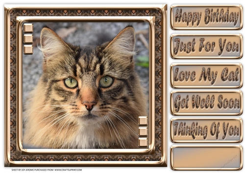 JJ LOVE MY CAT 21 8X8