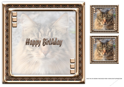  JJ LOVE MY CAT 21 8X8 INSERT HAPPY BIRTHDAY