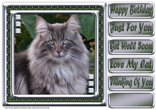 JJ LOVE MY CAT 22 8X8