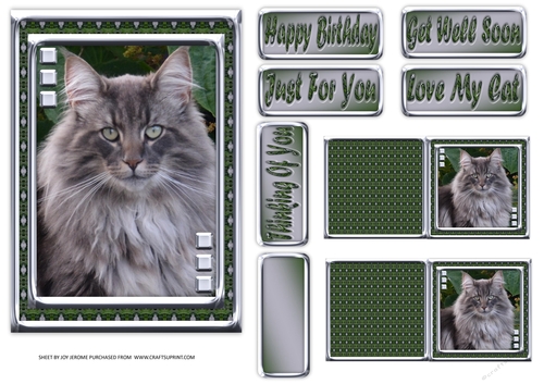 JJ LOVE MY CAT 22 5X7