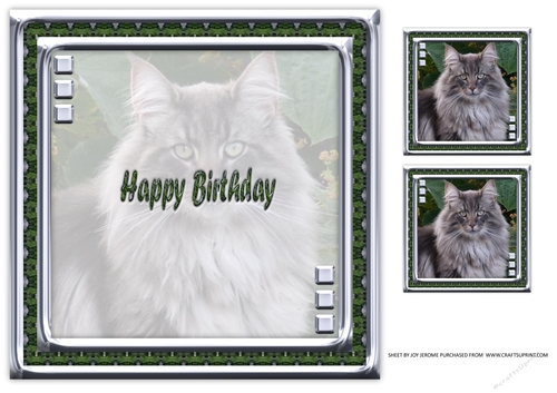 JJ LOVE MY CAT 22 8X8 INSERT HAPPY BIRTHDAY