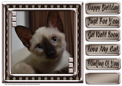 JJ LOVE MY CAT 23 8X8