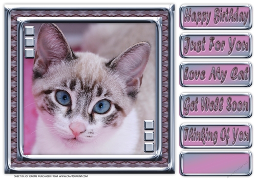 JJ LOVE MY CAT 24 8X8