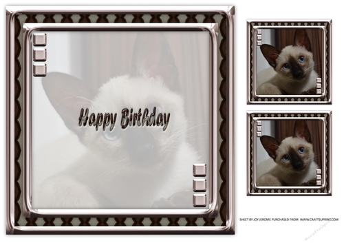 JJ LOVE MY CAT 23 8X8 INSERT HAPPY BIRTHDAY.