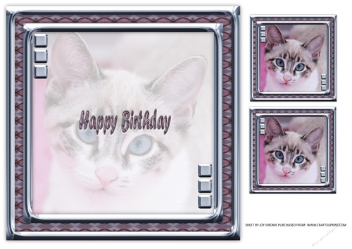 JJ LOVE MY CAT 24 8X8 INSERT HAPPY BIRTHDAY.