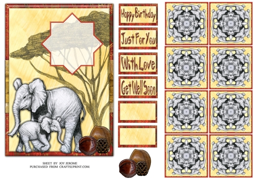 JJ AFRICAN SAFARI 5X5 TEA BAG ELEPHANT