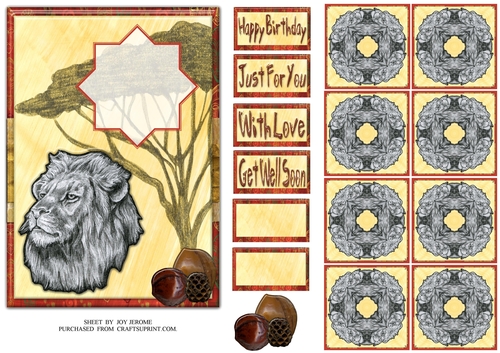 JJ AFRICAN SAFARI 5X5 TEA BAG LION