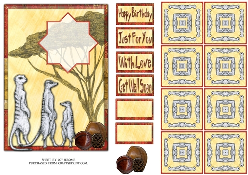JJ AFRICAN SAFARI 5X5 TEA BAG MEERKATS