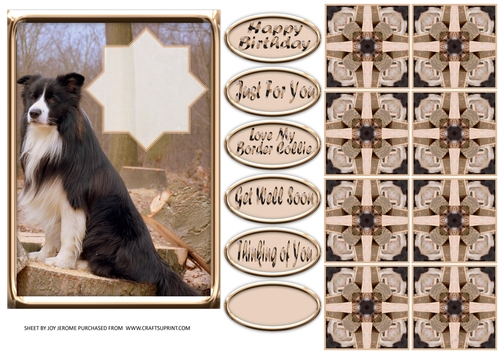 JJ LOVE MY DOG BORDER COLLIE 5X7 TEA BAG CARD