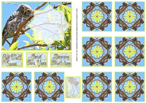 JJ OWL 3 A6 TEA BAG CARD