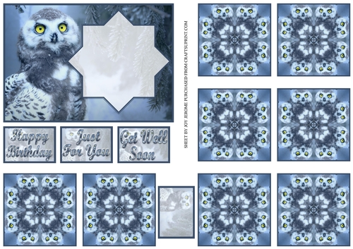 JJ OWL 4 A6 TEA BAG CARD