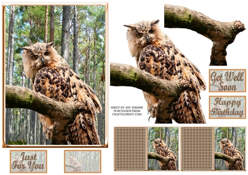 JJ OWL 1 5X7 DECOUPAGE