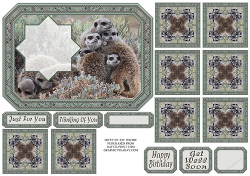JJ GROUP HUG MEERKATS 7X5 TEA BAG SHEET.
