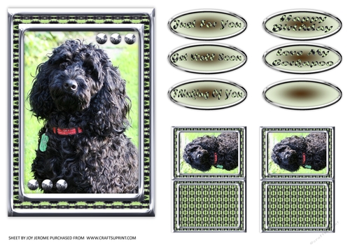 JJ LOVE MY DOG COCKAPOO 2 5X7