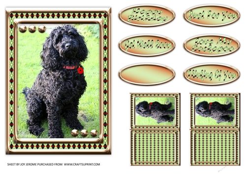  JJ LOVE MY DOG COCKAPOO 3 5X7