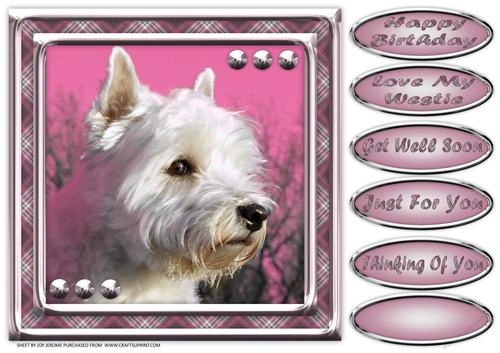 JJ LOVE MY DOG WEST HIGHLAND TERRIER OR WESTIE 2 8X8