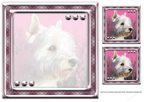 JJ LOVE MY DOG WEST HIGHLAND TERRIER OR WESTIE 2 8X8 INSERT BLANK