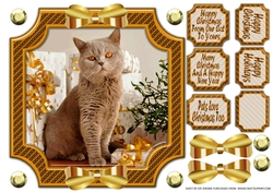 JJ PETS LOVE CHRISTMAS TOO GOLDEN CAT 8X8 CARD