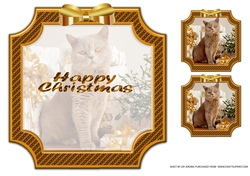 JJ PETS LOVE CHRISTMAS TOO GOLDEN CAT INSERT HAPPY CHRISTMAS