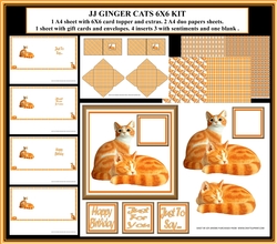 JJ GINGER CATS 6X6 KIT