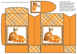 JJ GINGER CATS PINCH BAG AND TAG